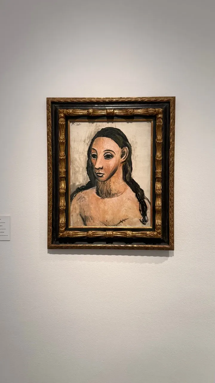 ピカソ美術館に展示された長い黒髪の女性の肖像画
