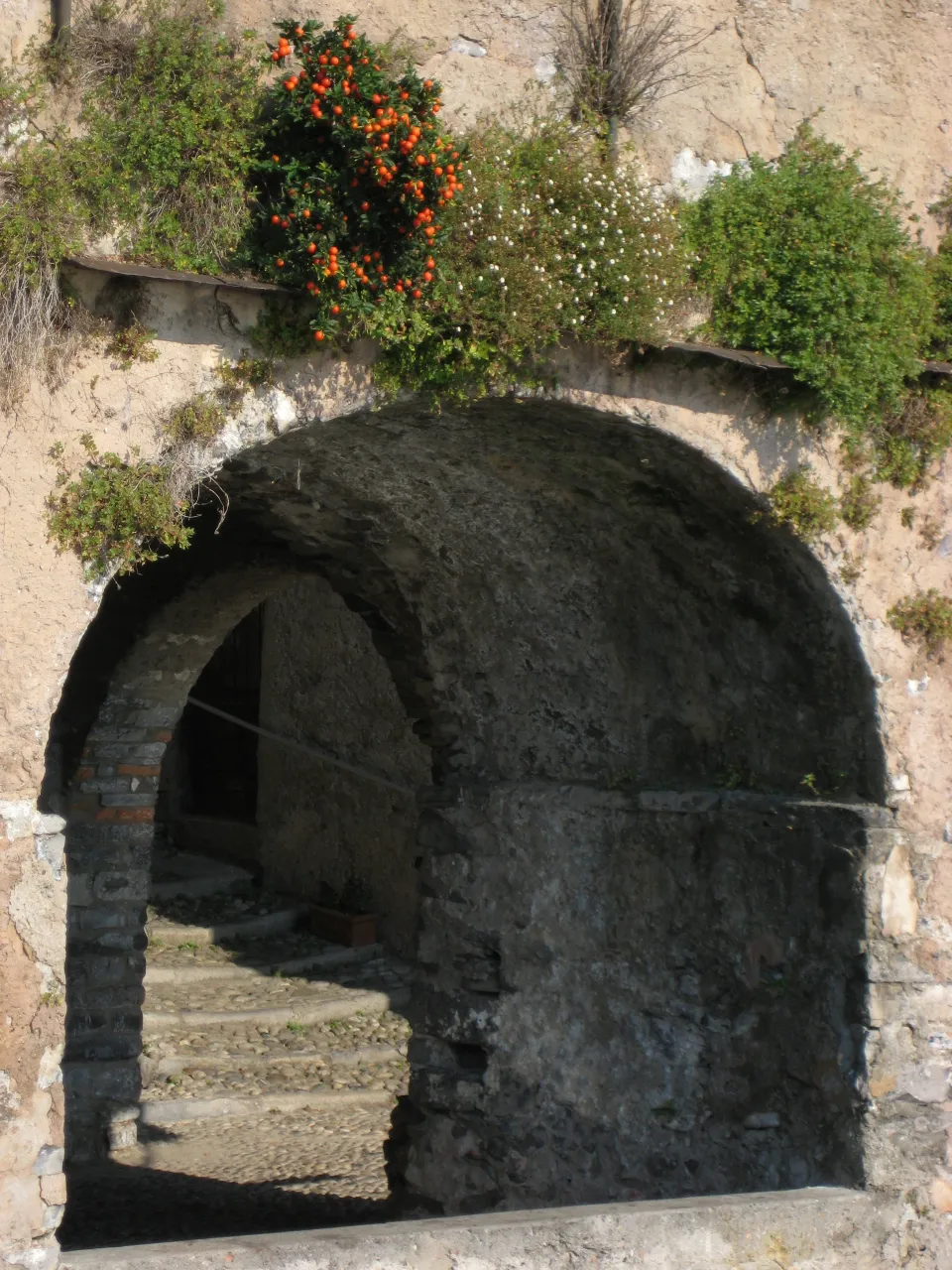 Plant-covered stone arch and steps leading into a shaded passage in Varenna