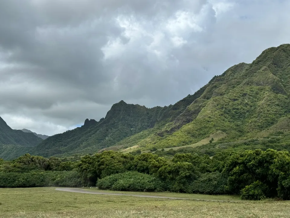 クアロアランチの草地の奥に広がる緑の渓谷