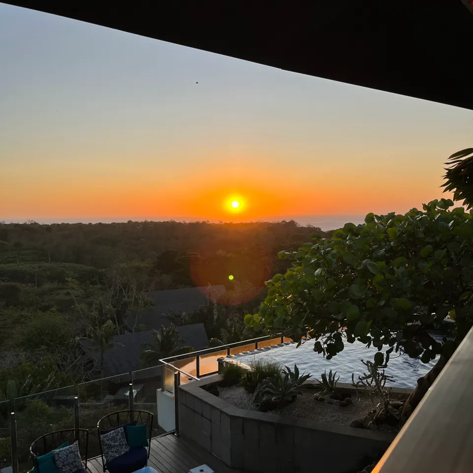 森と建物の向こうへ沈む夕陽