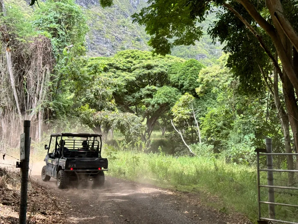 クアロアランチの林道で土ぼこりを上げるUTV