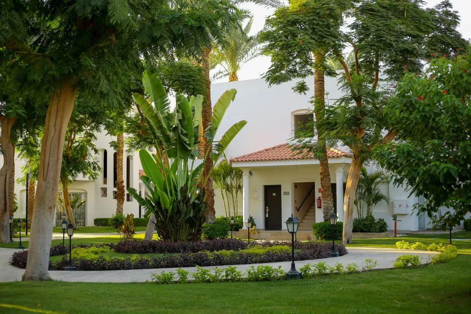 JAZ Fanara Resortの庭。白い低層棟と赤い瓦屋根の前に、大きな葉とヤシ、芝生、黒い小さな灯りが並ぶ